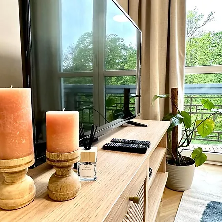 Park House Apartament Deluxe- Free Parking Częstochowa Esterno foto