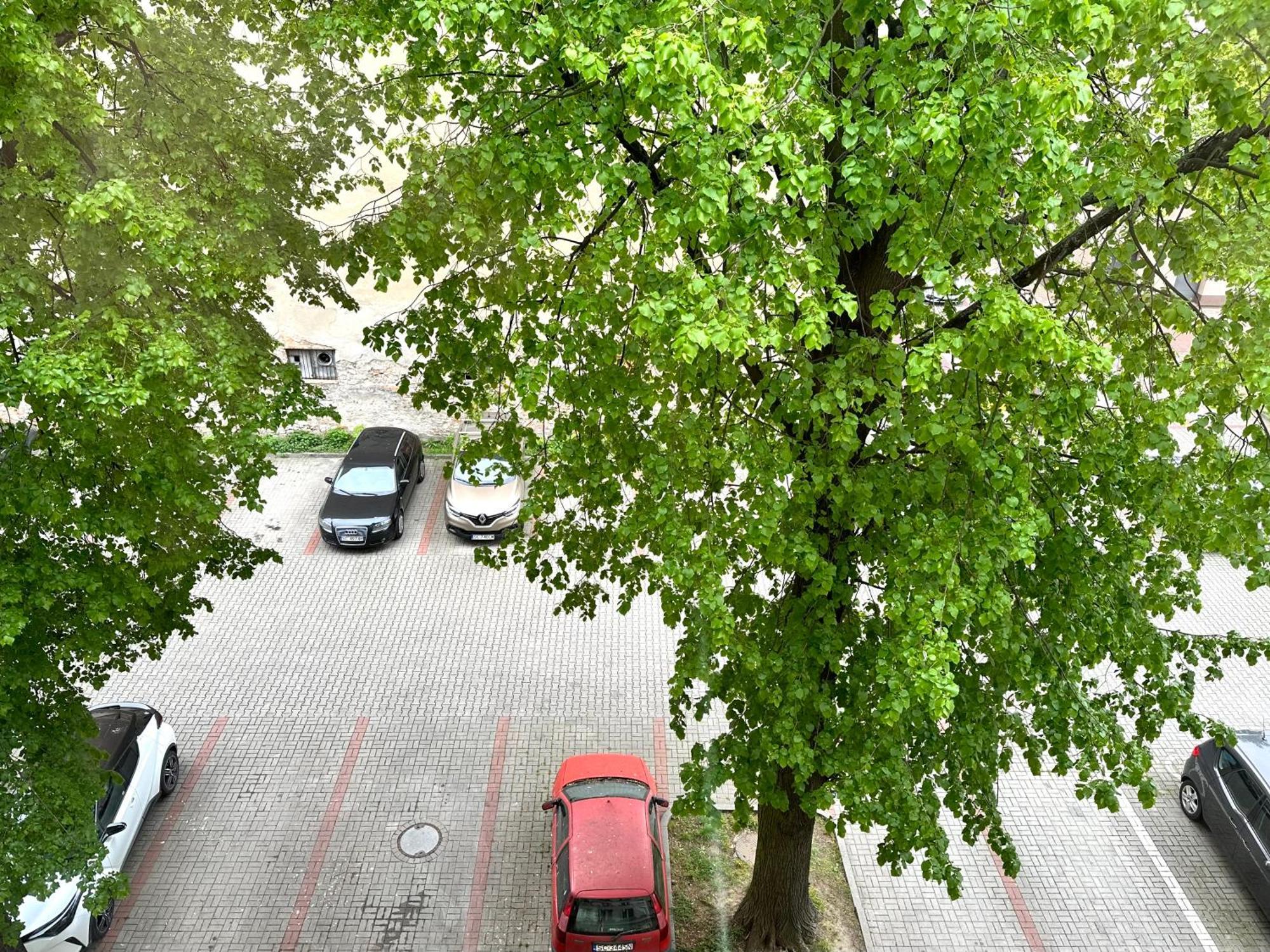 Apartment Park House Deluxe- Free Parking